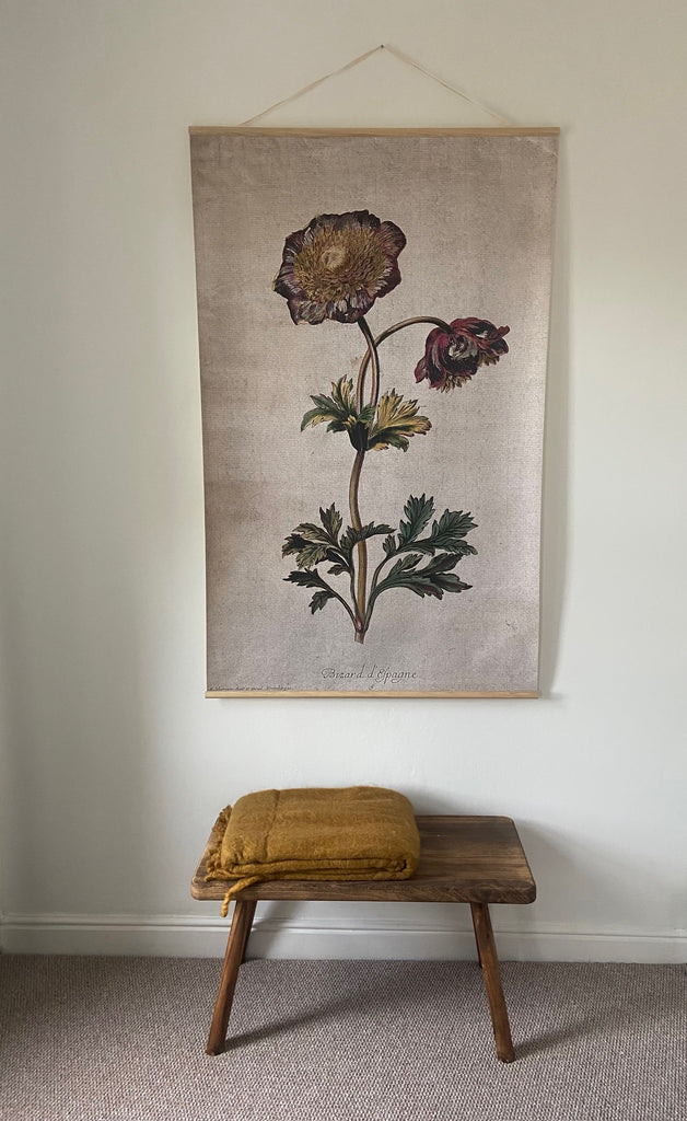 Canvas wall hanging - Anemone I Bizard d'Espagne