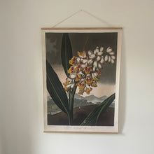 Canvas wall hanging - The Nodding Renealmia