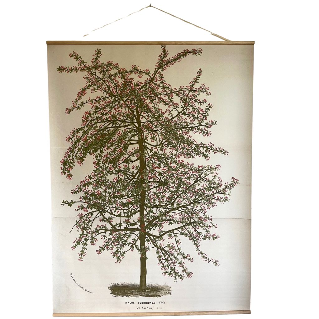 Canvas wall hanging Malus Floribunda Buds