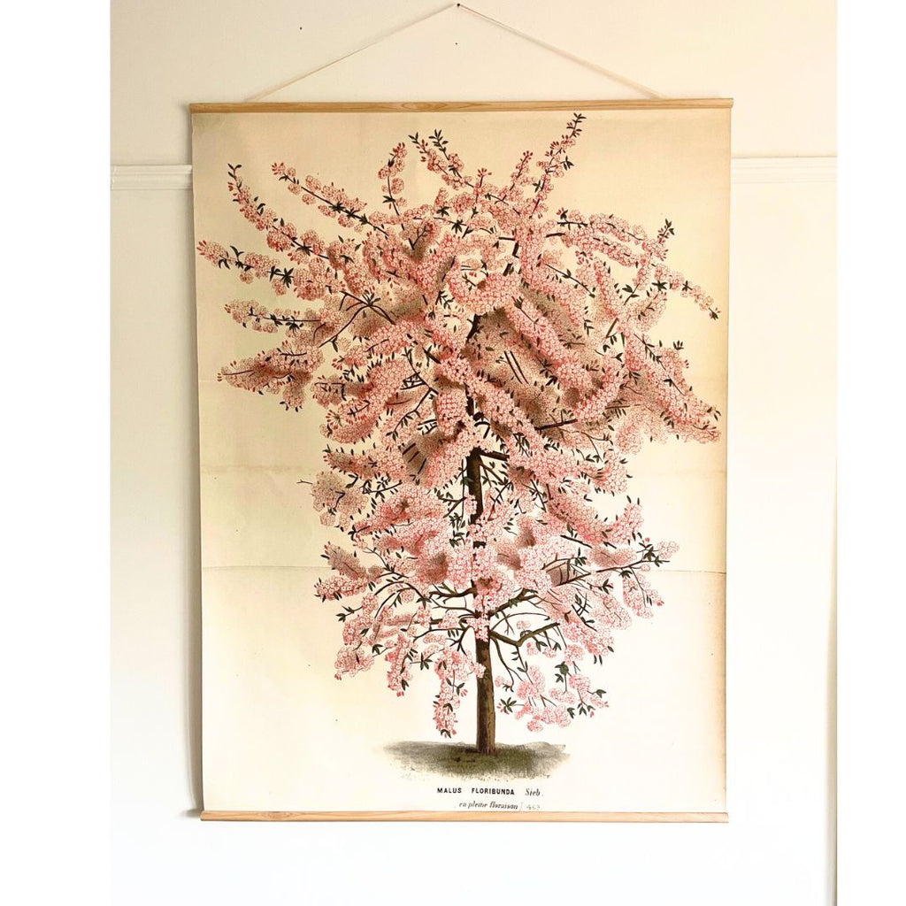 Canvas wall hanging Malus Floribunda Blossom