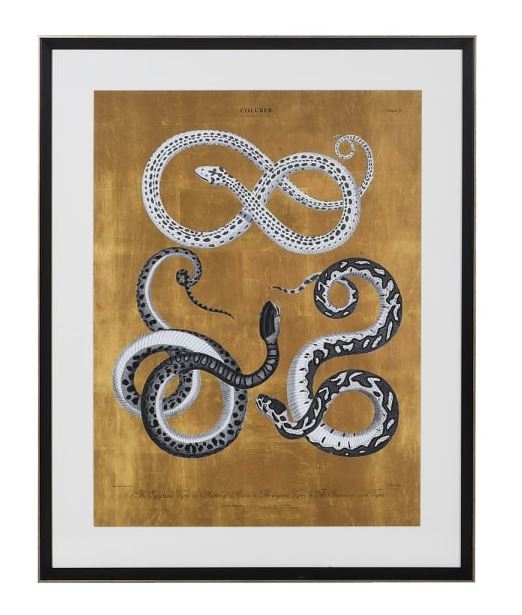 Framed Gold Snakes Print H:100cm W:80cm